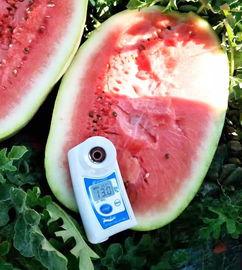 最新瓜爆料网红,揭秘背后惊人真相!